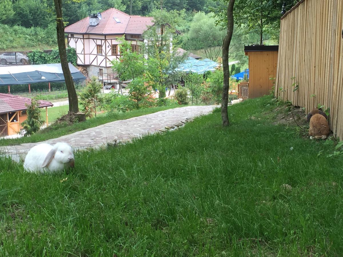 Motel "Kula" Cazin Εξωτερικό φωτογραφία